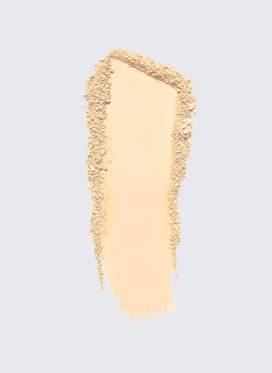 DW SIP MATTE POWDER FOUNDATION