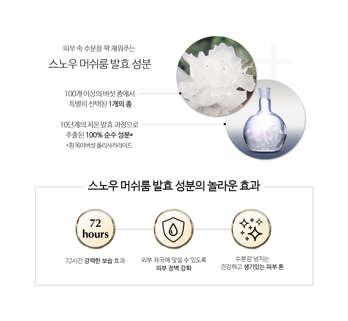 스노우 머쉬룸 발효 성분의 놀라운 효과