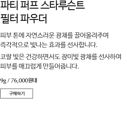 파티 퍼프 스타루슨트 필터 파우더