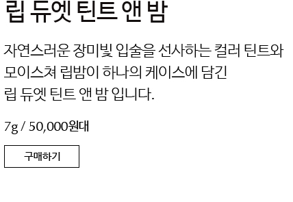 립 듀엣 틴트 앤 밤