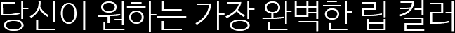 당신이 원하는 가장 완벽한 립 컬러